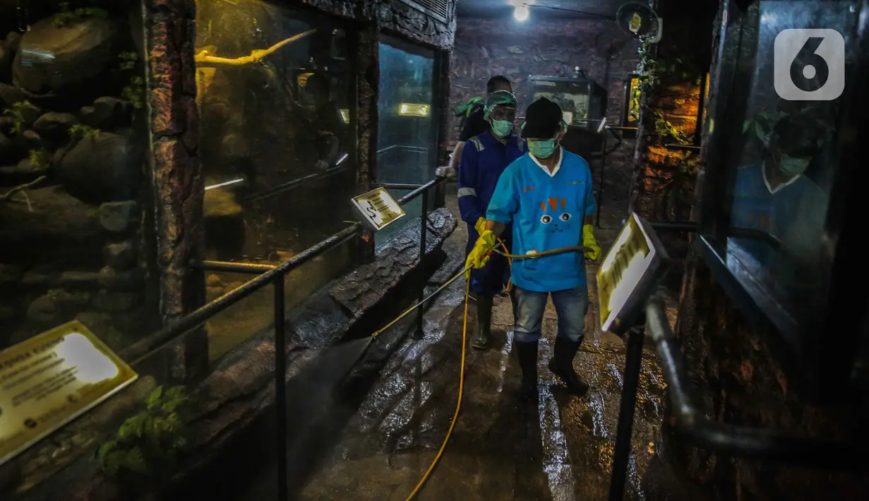 Petugas menyemprotkan cairan disinfektan di Taman Komodo TMII, Jakarta, Rabu (18/3/2020). Penyemprotan dilakukan untuk mengantisipasi penyebaran virus corona COVID-19. (Liputan6.com/Faizal Fanani)