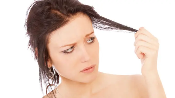 Foto: copyright Shutterstock.com