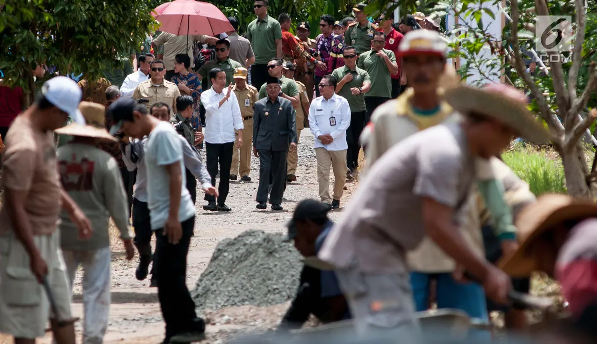 Presiden Joko Widodo (Jokowi) meninjau program padat karya tunai di Desa Pematang Panjang, Kabupaten Banjar, Kalimantan Selatan, Senin (26/3). Terlihat Jokowi memantau perbaikan Jalan Warga di Desa Pematang Panjang sepanjang 398 meter. (Liputan6.com/Pool)