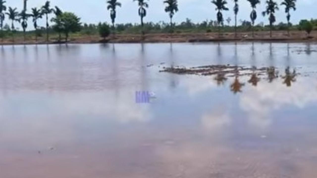 Ide Berlian Letjen Kunto Arief, Lahan Gabut Disulap Jadi Surga Pertanian