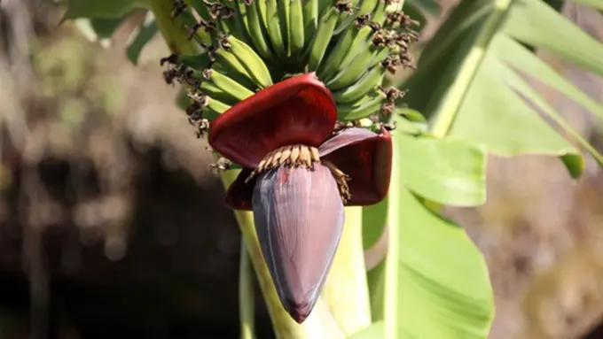 Foto: copyright by Thinkstock.com