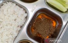 Keunikan Rendang Santan Beruk Terlatih SPPG Padang: Lezatnya Kelapa Pilihan Monyet Ahli