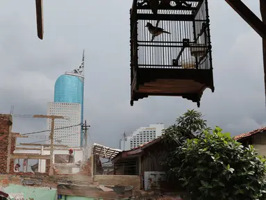 Pekerja membongkar rumah di kawasan padat penduduk Kebon Melati, Jakarta, Selasa (9/2). Warga di kawasan itu mulai menjual rumah mereka dan berpindah ke pinggiran Jakarta. (Liputan6.com/Angga Yuniar)