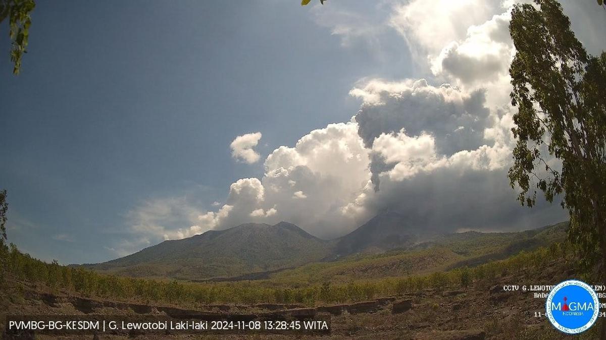 Gunung Lewotobi Laki-Laki meletus dahsyat