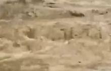 Potret Terkini Banjir Bandang Grobogan, Arus Air Sangat Deras Hingga Sebabkan Jalan Lumpuh Total