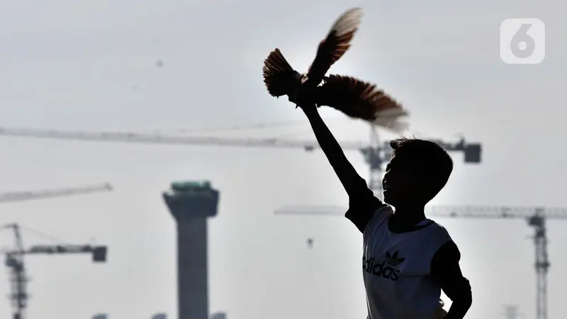 Melatih Burung Merpati Kolongan