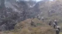 Ratusan Hektare Padang Savana di Gunung Bromo Terbakar