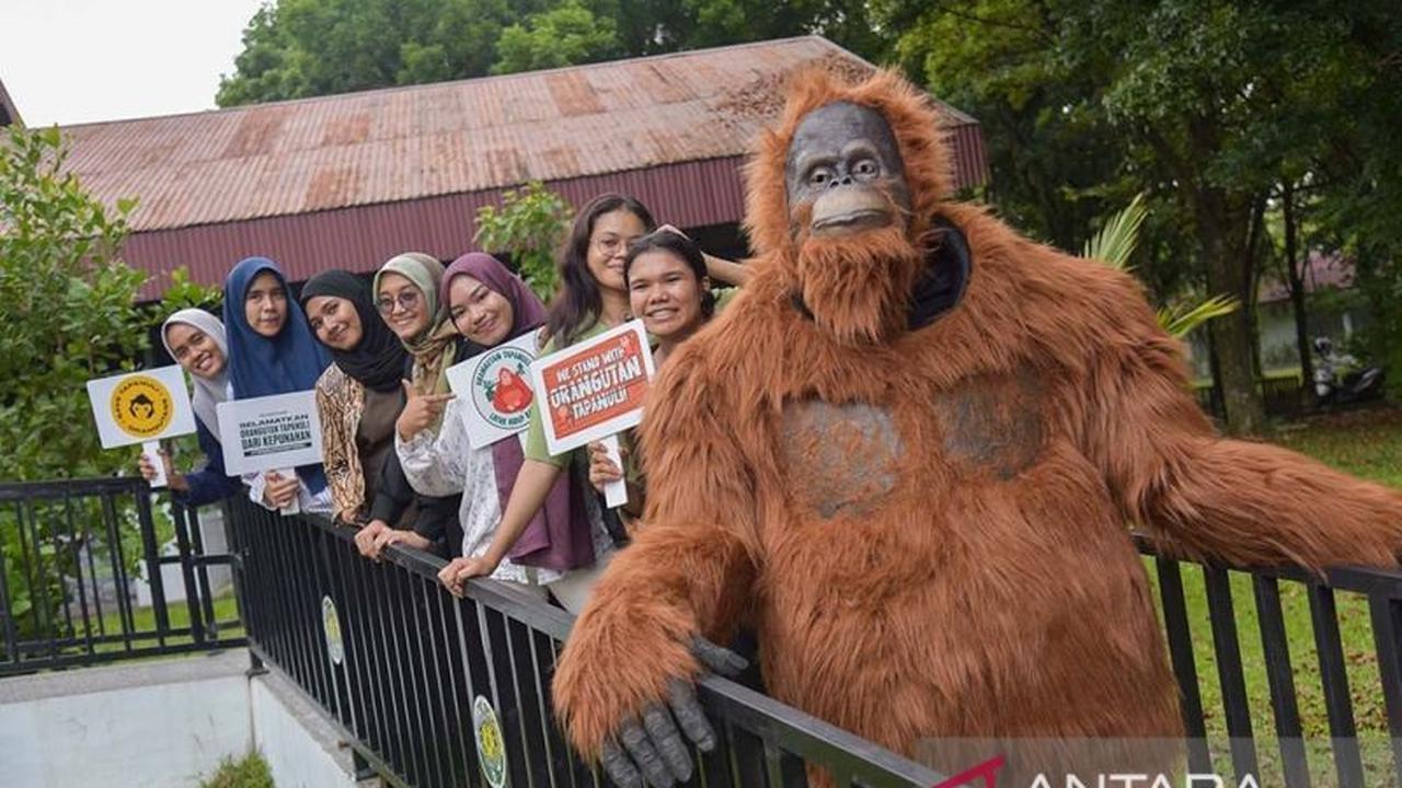 Hari Primata Indonesia: Belantara Foundation Ajak Kolaborasi Lindungi Primata Indonesia dari Ancaman Kepunahan