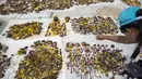 Seorang relawan menebarkan bunga menghormati tengkorak yang ditemukan di pemakaman Poh Teck Tung, Thailand, (3/11/2015). Ribuan jasad tak berindentitas ini nantinya akan dipindahkan ke gudang penyimpanan dan dikremasi. (REUTERS/Athit Perawongmetha)