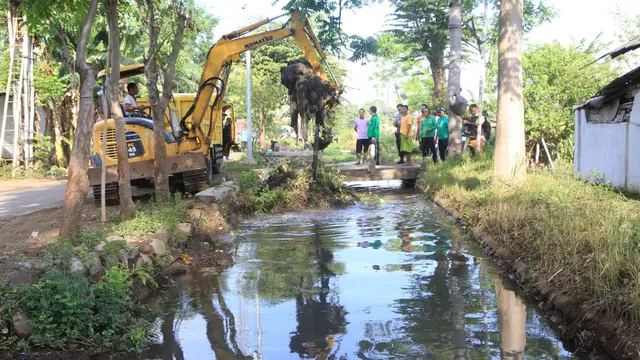 Dengan Mengerahkan Alat Berat Pemerintah Kota Probolinggo lakukan normalisasi saluran air untuk mengantisipasi banjir (Istimewa)
