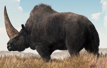 Arkeolog Kaget, Badak Unicorn Seberat 3,5 Ton Pernah Hidup Bareng Manusia 39.000 Tahun Lalu