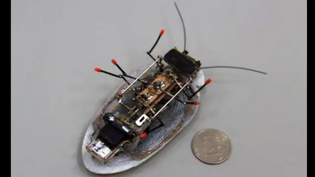 Robot kecoak