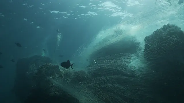 Sampah jaring ikan