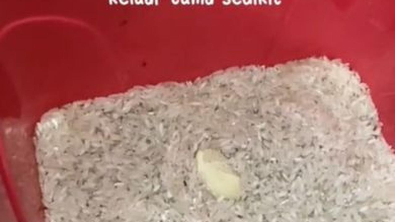 Jemur Beras
