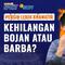 Video Menanti Kontrak Bojan Hodak di Persib Bandung Usai Pawai Juara Super League. Peralta & Maxwell In? 25 May 2026