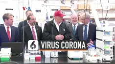 trump corona