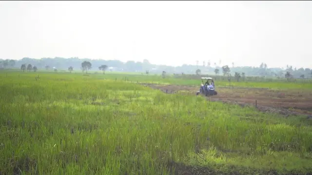 Kementan