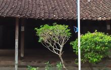 Potret Pondok Tegalsari Pesantren Tertua di Jawa, Ronggowarsito hingga HOS Tjokroaminoto Pernah Jadi Santri di Sini