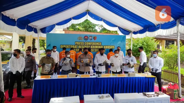 Konferensi pers kasus eksploitasi penyu (Liputan6.com/Fauzan)