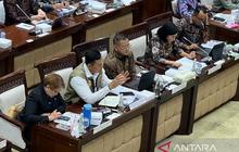 Stok Beras Nasional Aman 4,3 Juta Ton, Bulog Minta Masyarakat Tidak Panik