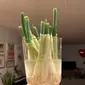 Memanfaatkan kembali batang daun bawang (dok. Twitter @hells/ https://twitter.com/hels/status/1247316933210505216/photo/1/ Brigitta Bellion)