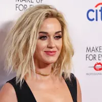 Katy Perry (Willy Sanjuan/Invision/AP)