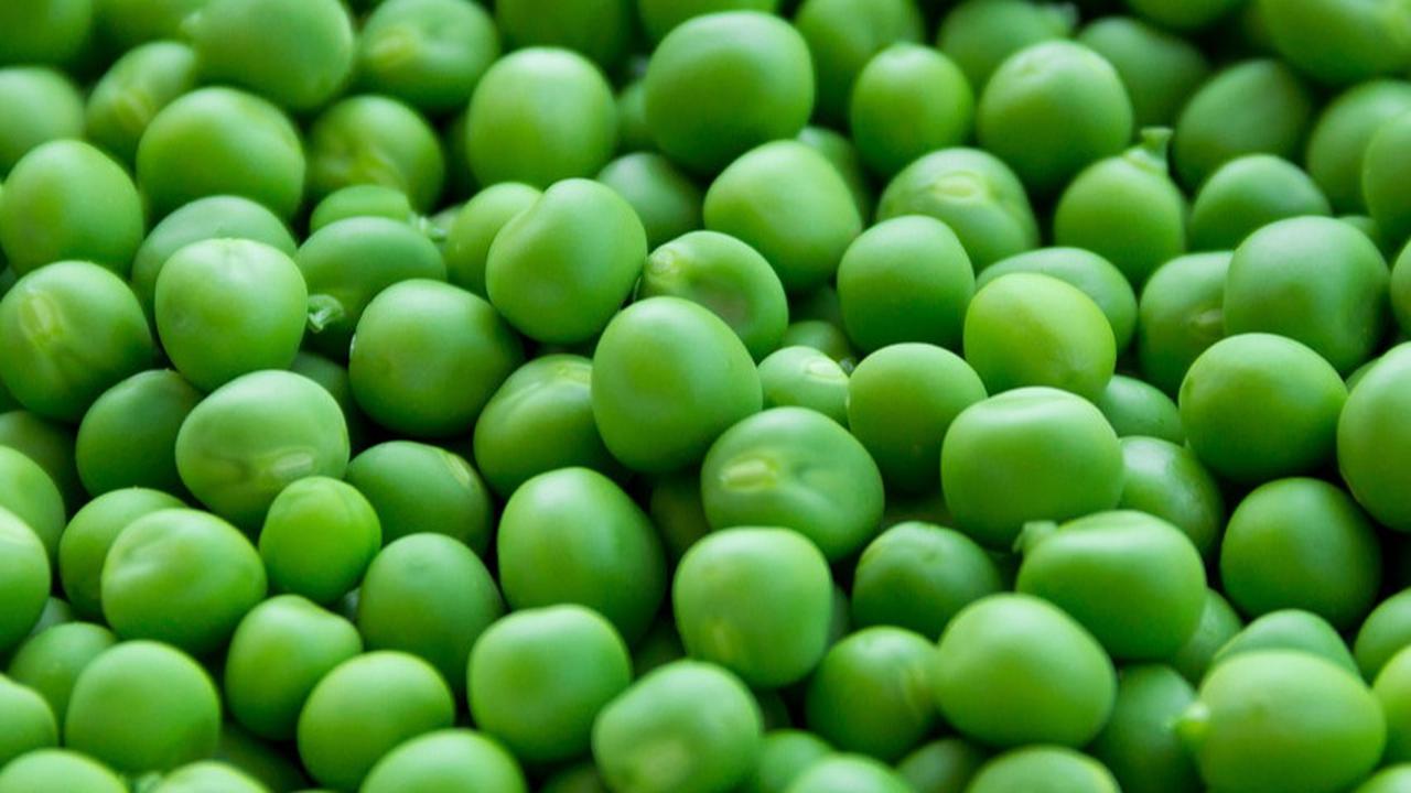 10 Sayuran Tinggi Protein dan Serat, Bayam hingga Jamur