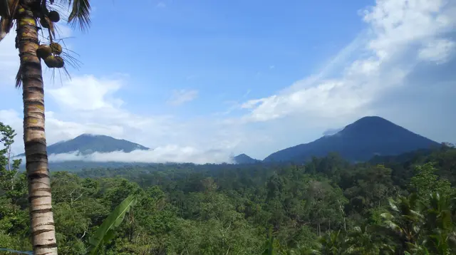 Pemandangan Gunung Tangkoko dan Duasaudara dari jalan menuju Batuputih. (Dok: Gunung Bagging&nbsp;https://www.gunungbagging.com/dua-saudara/)