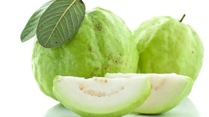 Foto: copyright thinkstockphotos.com