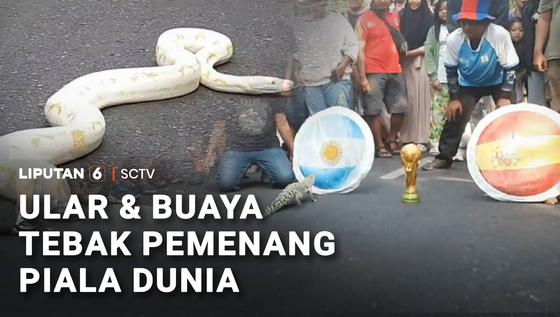 Tebak Pemenang Piala Dunia 2026 dengan Buaya
