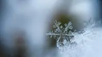 Russia Hit by Worst Snow Storm: Kamchatka Completely Paralyzed, Snowfall Reaches Record Heights
