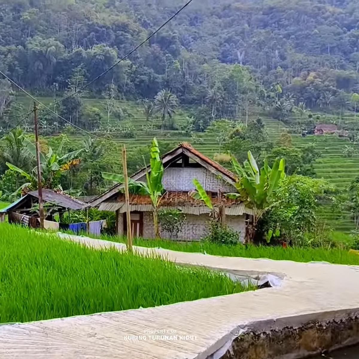 Kampung Cipancur Tasikmalaya yang indah