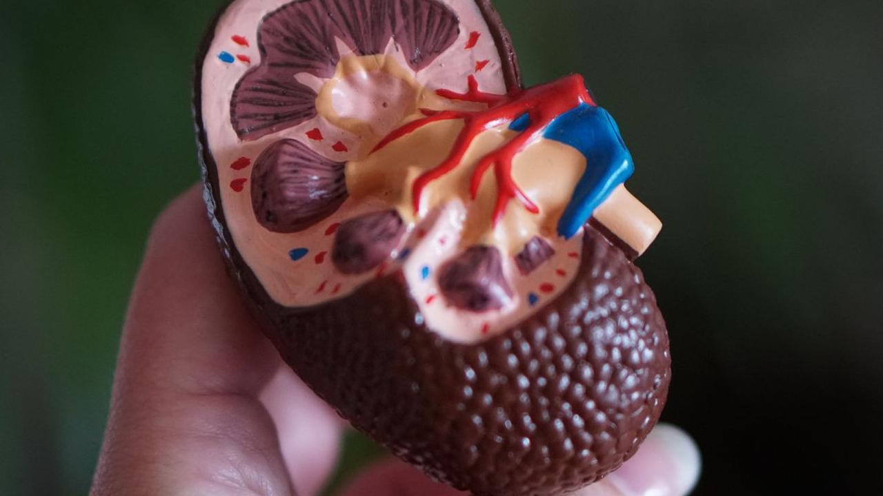 Makanan Penderita Sakit Ginjal