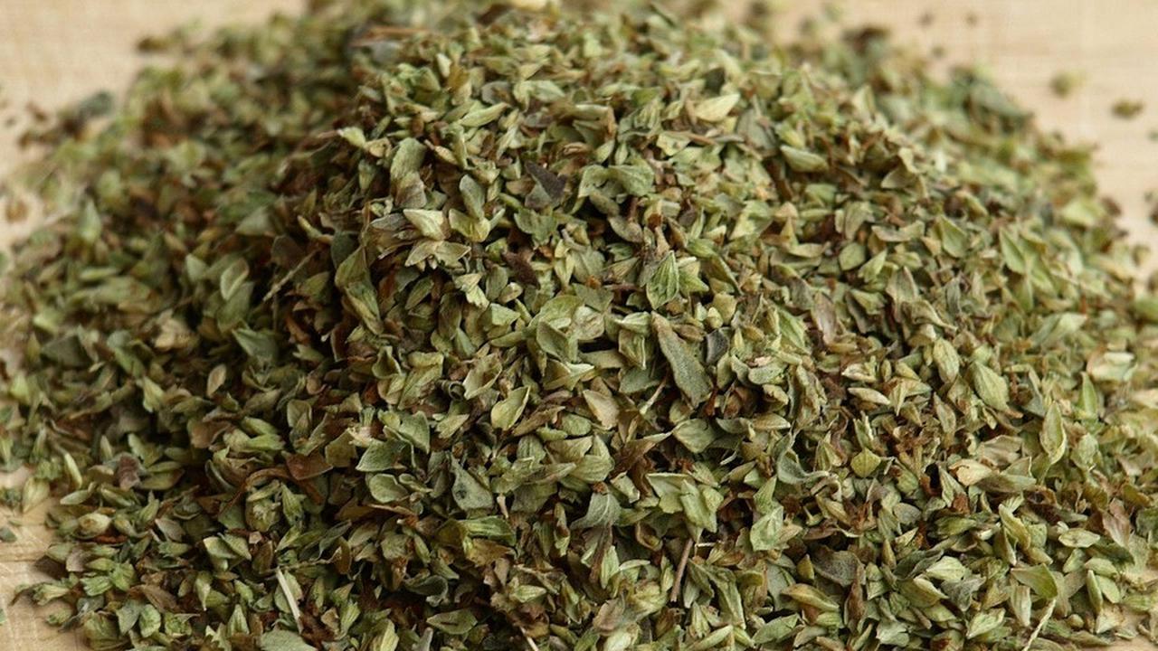 Ilustrasi Oregano (©Pixabay)