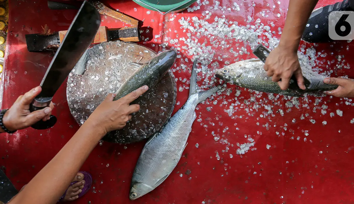 Pedagang memotong dan membersihkan sisik ikan bandeng dari air tambak di kawasan Rawa Belong, Jakarta, Rabu (10/2/2021). Menjelang perayaan Imlek atau Tahun Baru China, penjualan ikan bandeng tambak sepi pembeli akibat pandemi Covid-19 dibanding tahun sebelumnya. (Liputan6.com/Fery Pradolo)