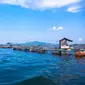 Waduk Jangari di Cianjur (Liputan6.com/ Achmad Sudarno)