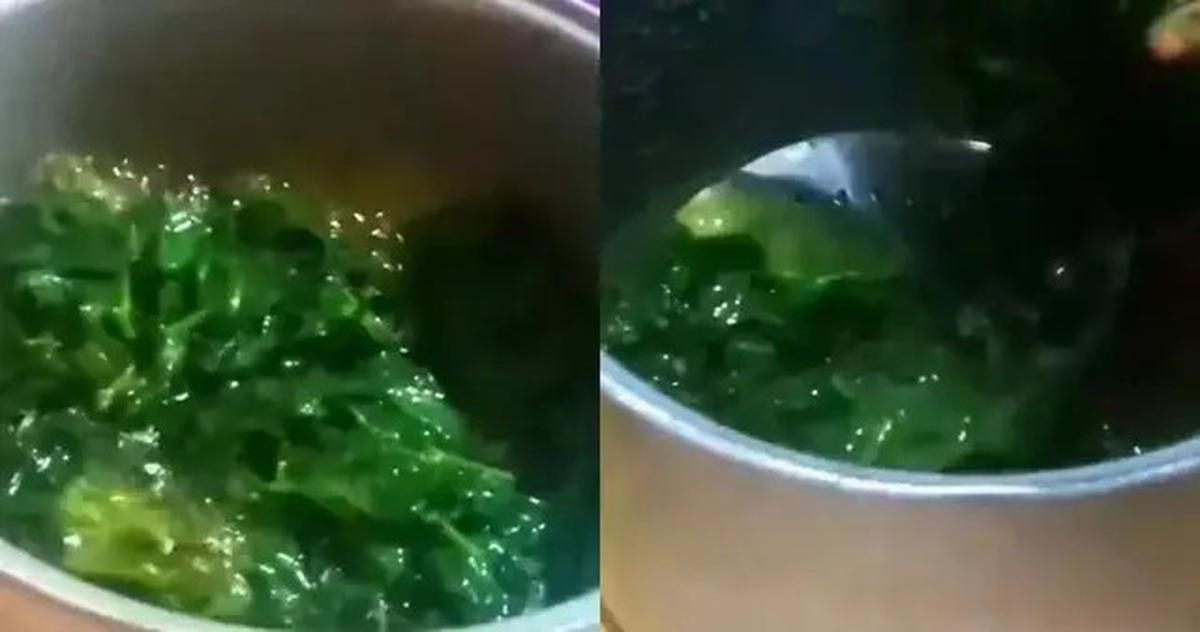 Cara Merebus Daun Singkong Agar Cepat Empuk dan Tetap Hijau Dalam 5 Menit