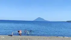 Ngeri, 30 Bangkai Hiu Ditemukan Berserakan di Pantai New Jersey