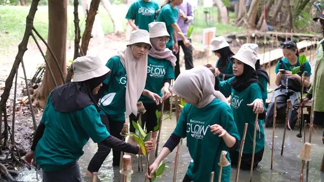 Brand Skincare Tanam Bibit Mangrove di Peringatan Hari Pohon Sedunia.  foto: istimewa