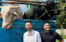 Deretan Artis Kurban Sapi untuk Iduladha 2025, Ada Ruben Onsu, Raffi Ahmad hingga Inul Daratista Berlomba Berikan Hewan Terbaik