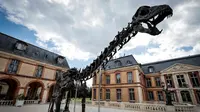 Kerangka Dinosaurus Apatosaurus Laku Terjual Rp100 Miliar, Bakal Dipajang di Museum Prancis