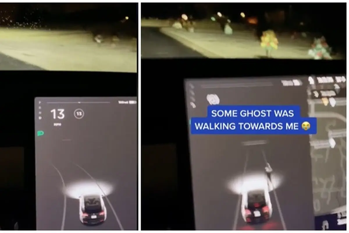 Bukan karena Canggih, Viral Pria Beli Mobil Tesla untuk Lihat Penampakan