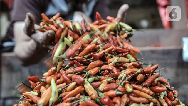 FOTO: Harga Cabai Rawit Merah Tembus Rp 120 Ribu per Kg