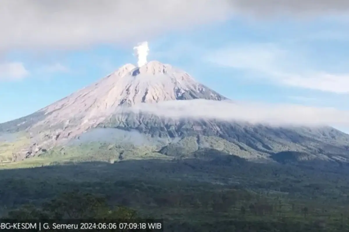 Gunung Semeru erupsi dengan ketinggian letusan mencapai 800 mdpl (Istimewa)