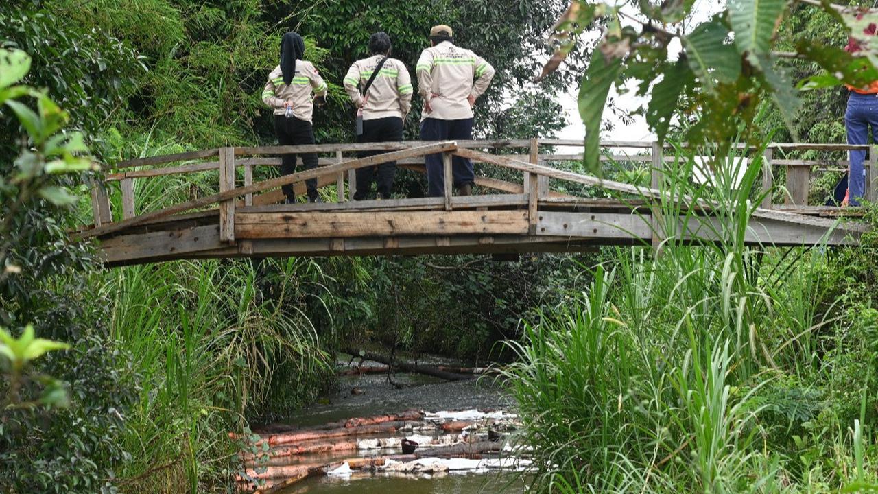 Pakar Kebencanaan UI Investigasi Tumpahan Minyak PT Vale, Apa Penyebabnya?