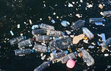 Ketahuan Buang Sampah Sembarangan, Rumah Wanita ini Langsung Dibanjiri Sampah oleh Warga Biar Kapok