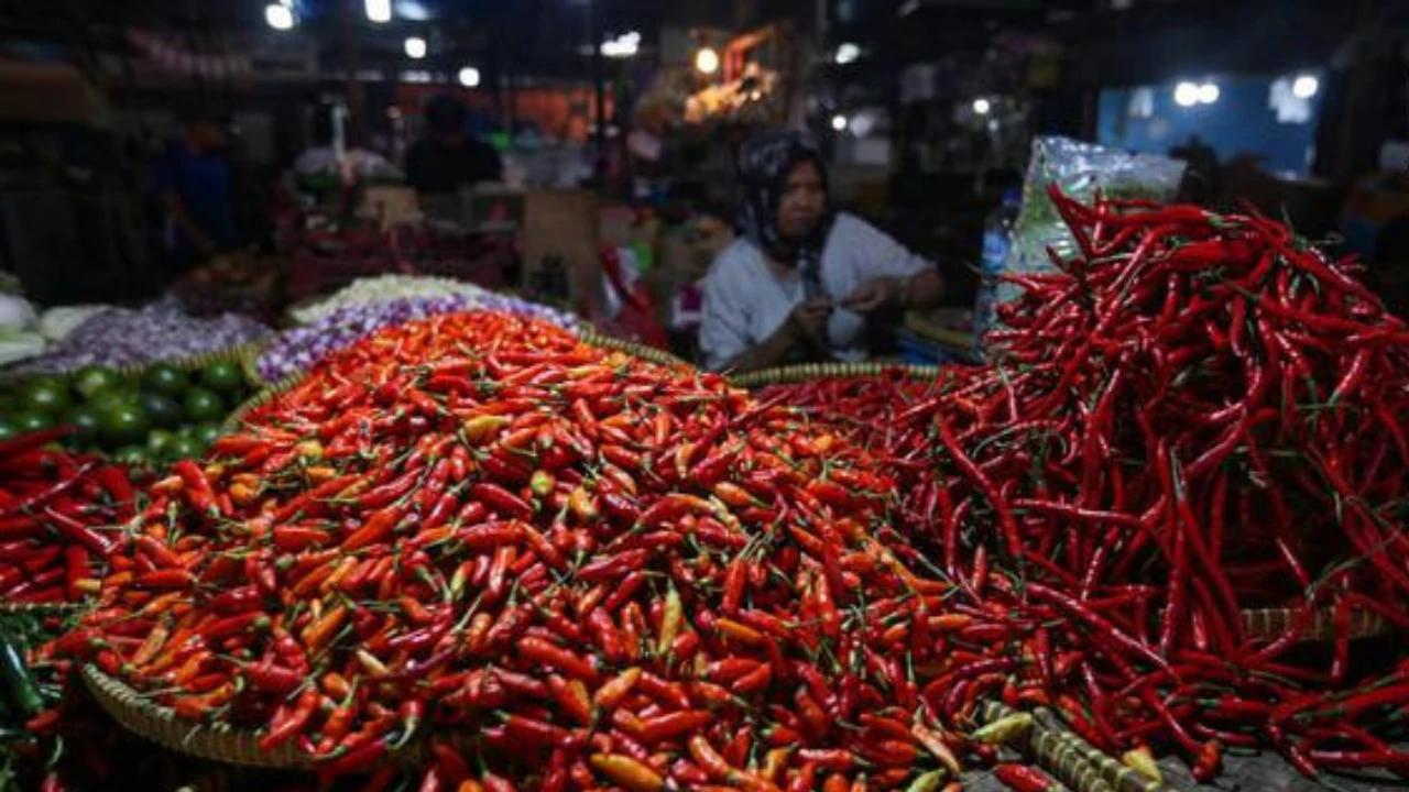 Harga Cabai Rawit Merah Tembus Rp100 Ribu per Kg, Ternyata Ini Penyebabnya