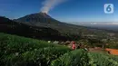 Dusun ini memiliki keunikan karena pemukiman dan areal pertanian dibangun pada tebing terjal lebih dari 30 derajat yang terletak di lereng Gunung Merbabu. (merdeka.com/Arie Basuki)