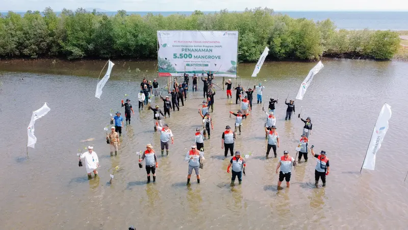 PT Pertamina Trans Kontinental (PTK) melakukan pengembangan konservasi untuk melindungi lingkungan pesisir melalui Green Mangrove Action Program (Green MAP) di Tuwed Mangrove Park, Bali pada Senin pagi 19 Agustus 2024.