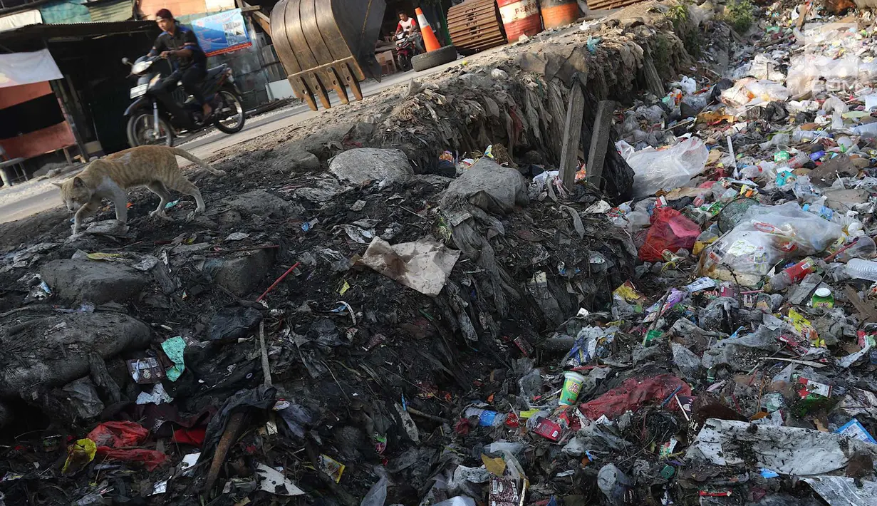 Sampah berserakan di sekitar pintu air Kali Item, Kemayoran, Jakarta, Selasa (2/10). Tidak tersedianya tempat pembuangan menyebabkan warga membuang sampah di lokasi tersebut sehingga menimbulkan bau tidak sedap. (Liputan6.com/Immanuel Antonius)